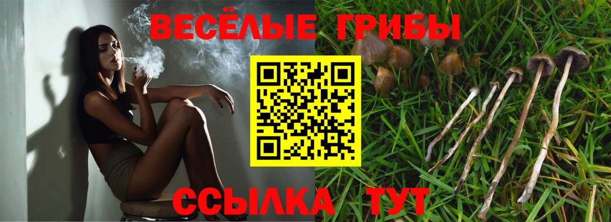 Галлюциногенные грибы ЛСД  Галлюциногенные грибы Psilocybe  Вход с VPN  Майкоп 